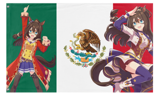 A mockup of the custom flag 'El flag' on a white background