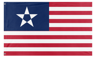 A mockup of the custom flag 'The Tyranny of King Washington flag' on a white background