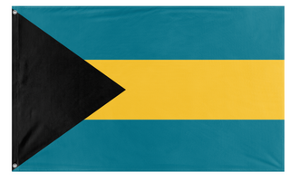 A mockup of the custom flag 'test flag' on a white background