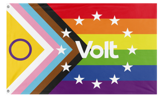 A mockup of the custom flag 'Volt Pride flag' on a white background