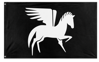 A mockup of the custom flag 'Anne Bonny Pirate flag' on a white background