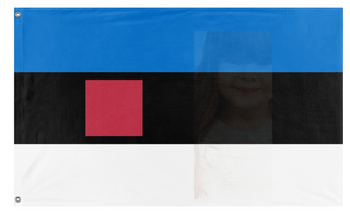 A mockup of the custom flag 'test flag' on a white background