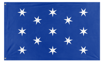 A mockup of the custom flag 'Washington flag' on a white background