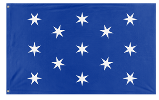 A mockup of the custom flag 'Washington flag' on a white background