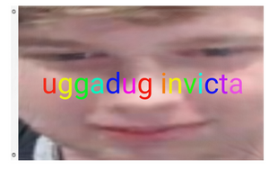 A mockup of the custom flag 'uggadug flag' on a white background
