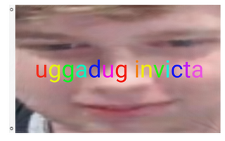 A mockup of the custom flag 'uggadug flag' on a white background