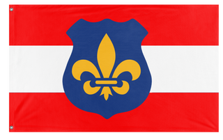 A mockup of the custom flag '100 flag' on a white background