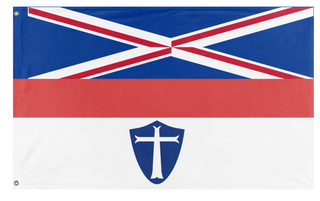 A mockup of the custom flag '10 flag' on a white background