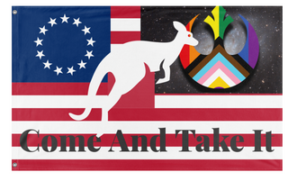 A mockup of the custom flag 'test flag' on a white background