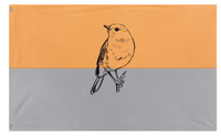 A mockup of the custom flag 'pootis flag' on a white background