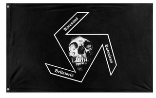 A mockup of the custom flag 'SSP flag' on a white background