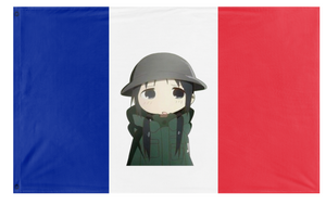 A mockup of the custom flag 'french flag' on a white background