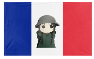 A mockup of the custom flag 'french flag' on a white background