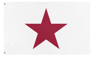 A mockup of the custom flag 'California Lone Star flag' on a white background