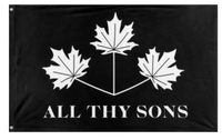 A mockup of the custom flag 'ATS flag' on a white background