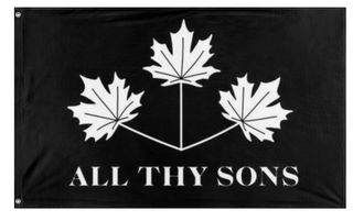 A mockup of the custom flag 'ATS flag' on a white background