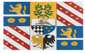 A mockup of the custom flag 'custom flag' on a white background