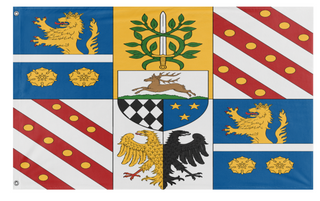 A mockup of the custom flag 'custom flag' on a white background