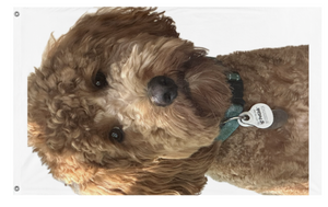 A mockup of the custom flag 'ALFIE flag' on a white background