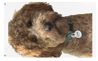 A mockup of the custom flag 'ALFIE flag' on a white background