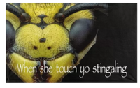 A mockup of the custom flag 'When she touch yo stingaling flag' on a white background
