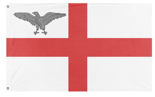 A mockup of the custom flag 'Y flag' on a white background
