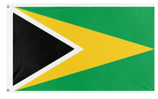 A mockup of the custom flag 'Legion of the dammed flag' on a white background