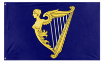 A mockup of the custom flag 'Royal Standard of Ireland 1542 to 1801 flag' on a white background