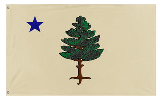 A mockup of the custom flag '1901 Maine Flag' on a white background
