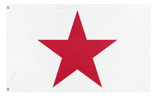 A mockup of the custom flag 'California realm flag' on a white background