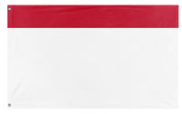 A mockup of the custom flag 'Custom Companion Flag' on a white background