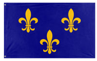 A mockup of the custom flag 'French Royal Flag' on a white background