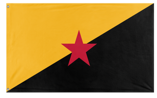 A mockup of the custom flag 'Left-Rothbardian flag' on a white background