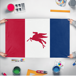 A mockup of the custom flag 'bpr flag' held up on a table during print checking