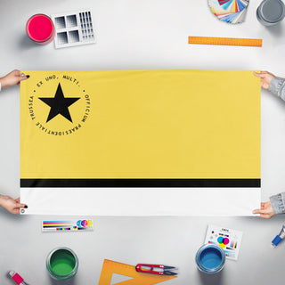 A mockup of the custom flag 'Trussean Presidential Flag' held up on a table during print checking