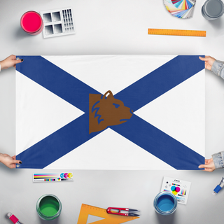 A mockup of the custom flag 'Darolina  flag' held up on a table during print checking