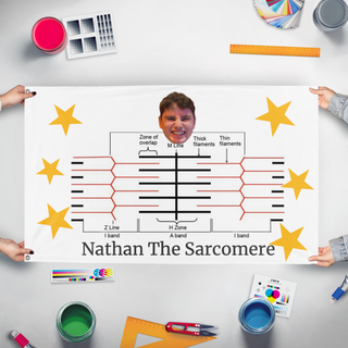A mockup of the custom flag 'Nathan The Sarcomere flag' held up on a table during print checking