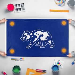 A mockup of the custom flag 'test flag' held up on a table during print checking