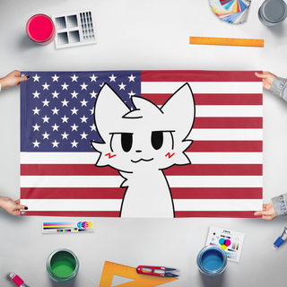 A mockup of the custom flag 'American Boykisser flag' held up on a table during print checking