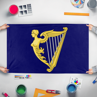 A mockup of the custom flag 'Royal Standard of Ireland 1542 to 1801 flag' held up on a table during print checking