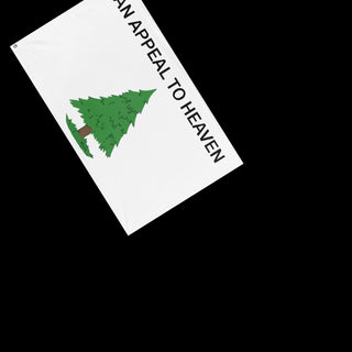 A mockup of the custom flag 'Washington's Cruisers Flag' as a desk flag and small hand waving flag
