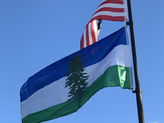 Doug flag (Cascadia)
