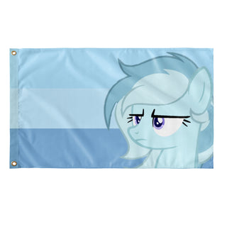 Icy Flag Of The North flag (Cinny )