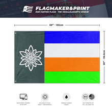 Load image into Gallery viewer, mooma flag (discopanzer)