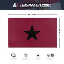 Load image into Gallery viewer, First of Texas flag (Flag Mashup Bot)
