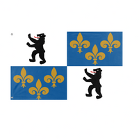 House of Gilford flag (Darren Brown)