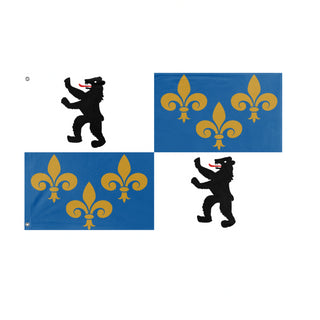 House of Gilford flag (Darren Brown)