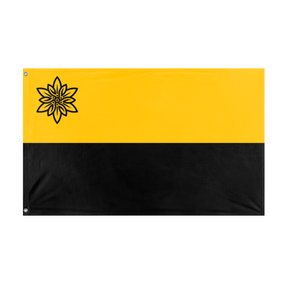 Republic of Manchuria flag (Sean Chambers)