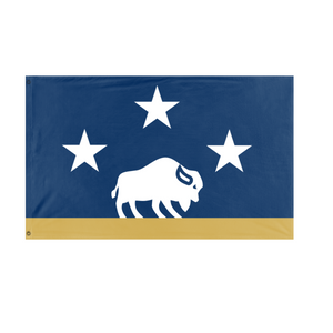 Democratic Ideals flag (Jonathan)