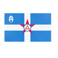 DSE flag (Evangelos Kounellas)